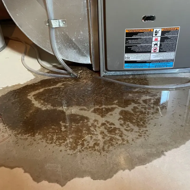 Pipe Burst and Leak Restoration in Harrison, NJ