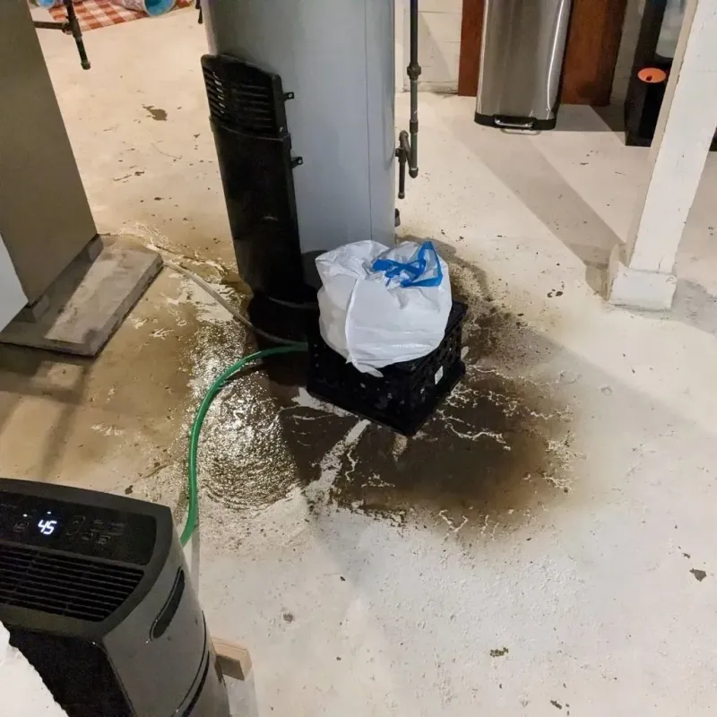 Sewage Backup Cleanup Service in Harrison, NJ